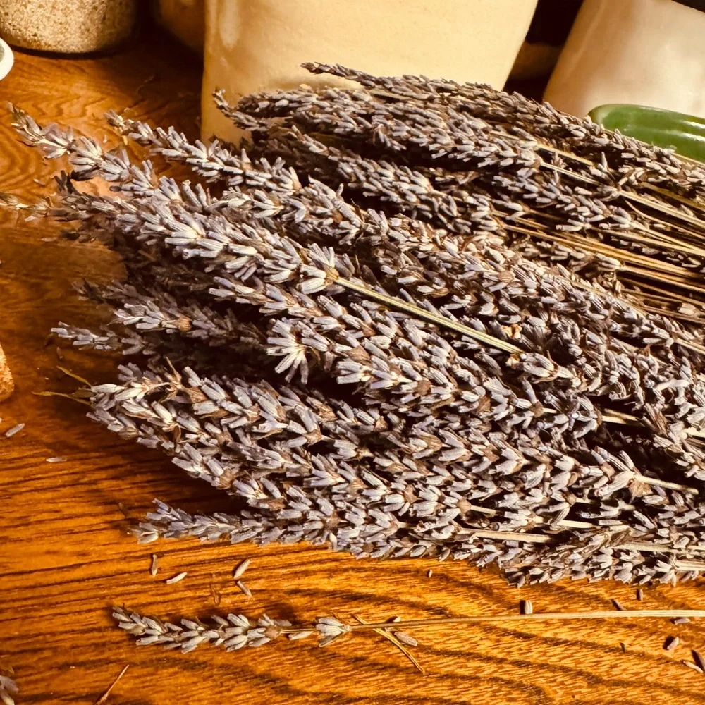 2 Dried Lavender Bouquets picked local last summer